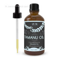 Aromatherapy Grade 100% pur ISO certificat tamanu huile de tamanu